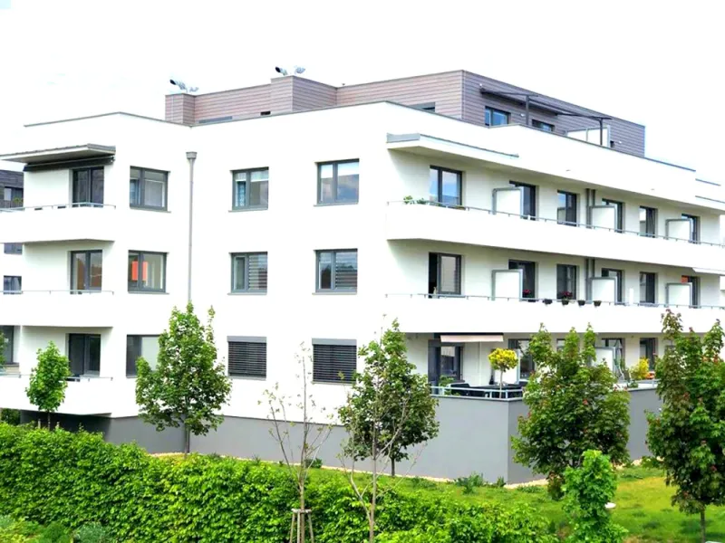 Pronajmu novostavbu 2+kk Slavkov u Brna. 58 m2